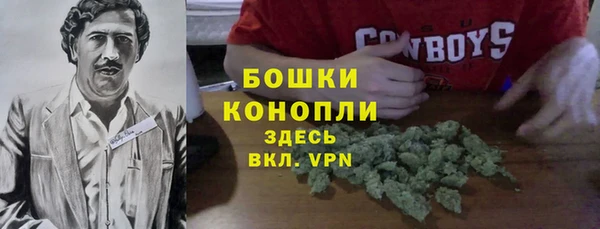 сатива Баксан