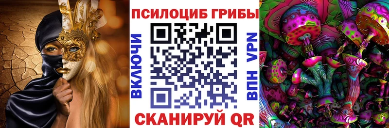 Галлюциногенные грибы прущие грибы  Кувшиново 